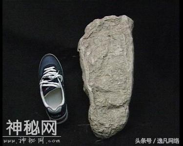 神农架野人真实存在吗，诗人屈原曾目击？-3.jpg