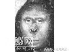 神农架野人真实存在吗，诗人屈原曾目击？-5.jpg