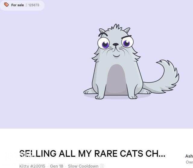 云养猫最贵一只80万？国外热捧最潮的养宠方式-1.jpg