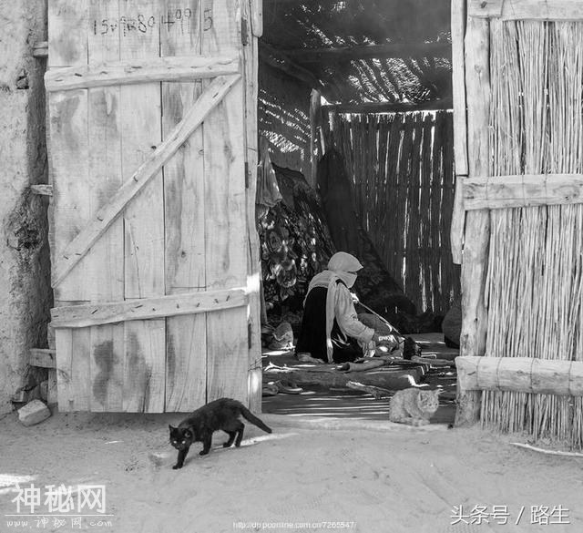 1959年，于田县政府接到报告：塔克拉玛干生存着一群与世隔绝的人-12.jpg