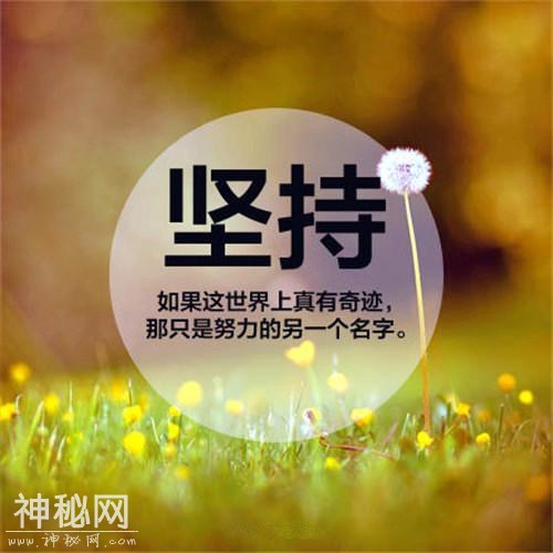 坚持！每天来碗鸡汤，管喝不管饱，要不要来碗？-1.jpg