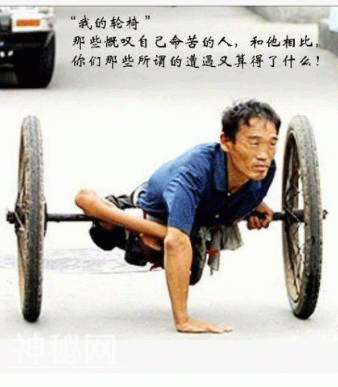 坚持！每天来碗鸡汤，管喝不管饱，要不要来碗？-3.jpg