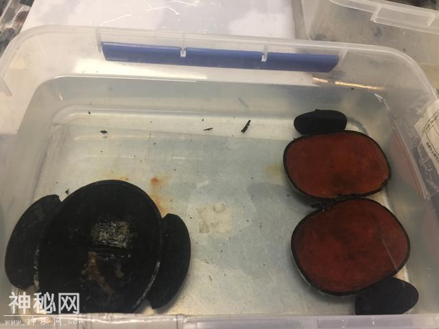 青白江双元村考古新发现：首次出现双连耳杯新器型-4.jpg