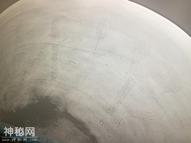 青白江双元村考古新发现：首次出现双连耳杯新器型-2.jpg