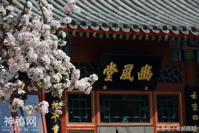 旅游动物园不仅能看动物，还能欣赏花红柳绿，满园春色-9.jpg