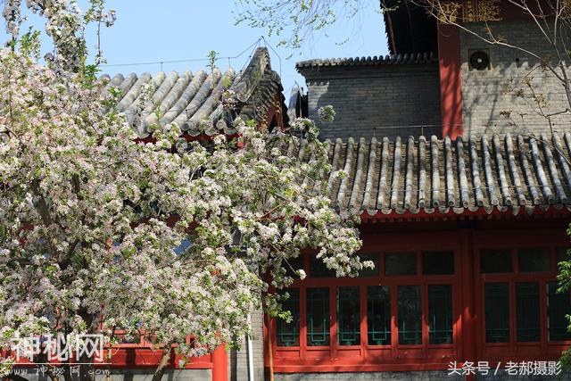 旅游动物园不仅能看动物，还能欣赏花红柳绿，满园春色-8.jpg