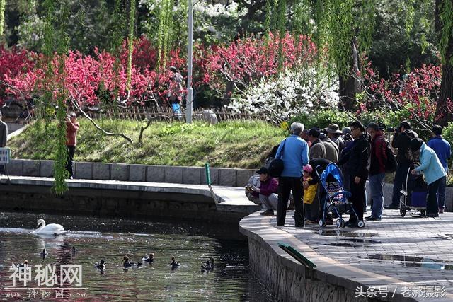 旅游动物园不仅能看动物，还能欣赏花红柳绿，满园春色-1.jpg