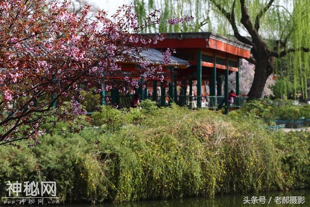 旅游动物园不仅能看动物，还能欣赏花红柳绿，满园春色-5.jpg