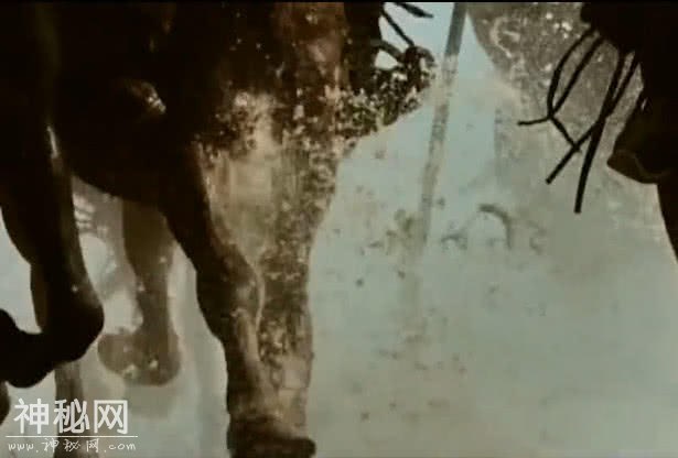 考古专家，在兵马俑发现“两大神器”，解释秦统一六国的原因-2.jpg