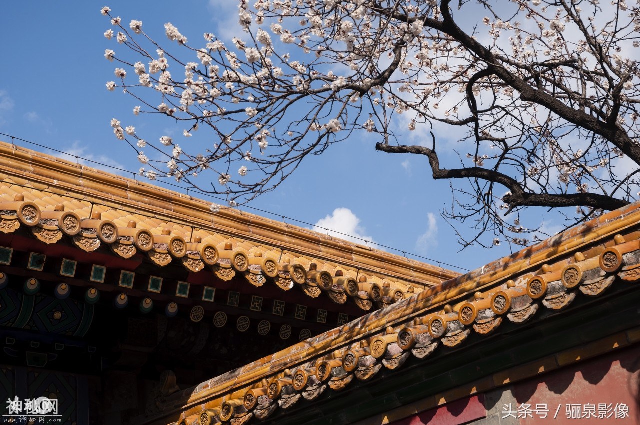 北京故宫 文物圣坛欢迎您-7.jpg