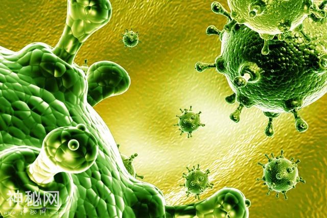 科学家：我们现在能活着，已经是巨大的奇迹了-4.jpg