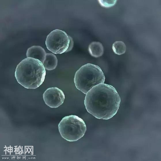 太震撼了！把宇宙138亿年历史压缩成1年：看完怀疑人生-6.jpg