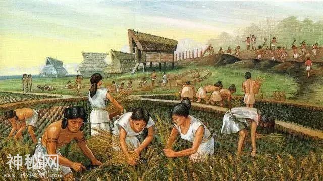 太震撼了！把宇宙138亿年历史压缩成1年：看完怀疑人生-33.jpg