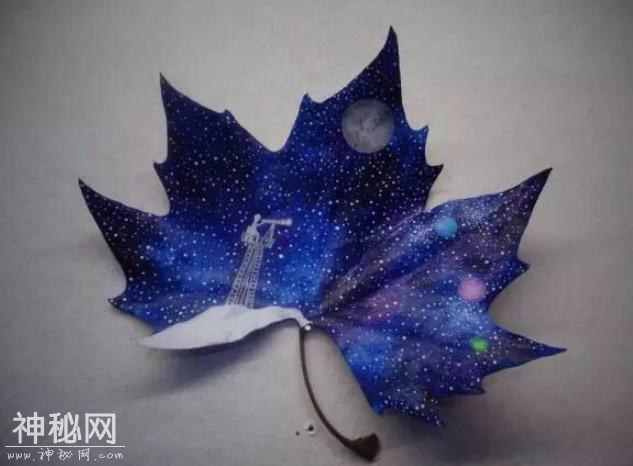 心理测试：你想用哪种叶子当书签？测你哪方面的运势会越来越好！-4.jpg