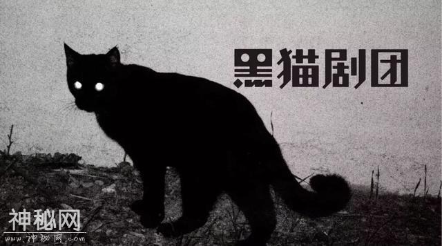 六折秒杀｜黑猫的病毒、细菌、荷尔蒙-9.jpg