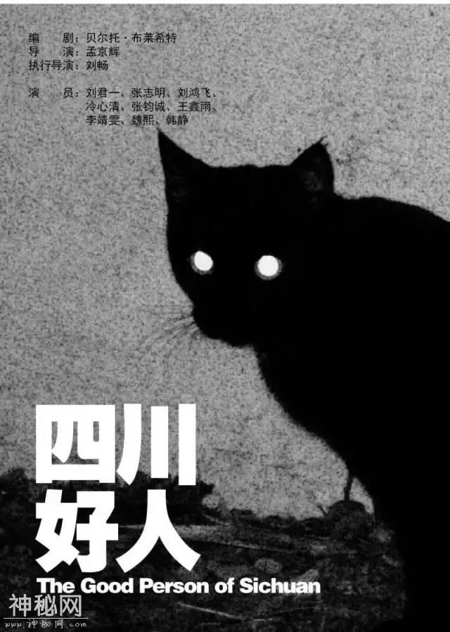 六折秒杀｜黑猫的病毒、细菌、荷尔蒙-13.jpg