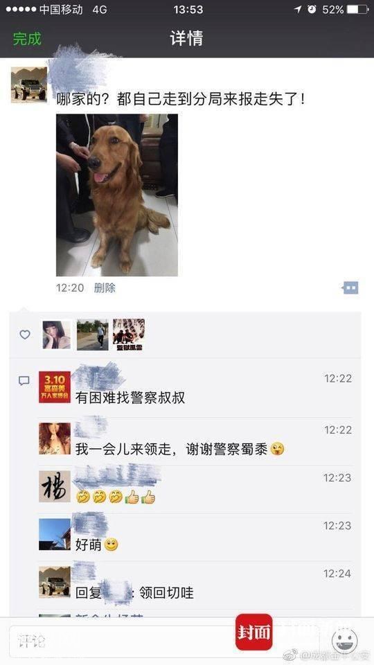 厉害！1岁金毛走失15小时 自行到公安局“报警”-1.jpg