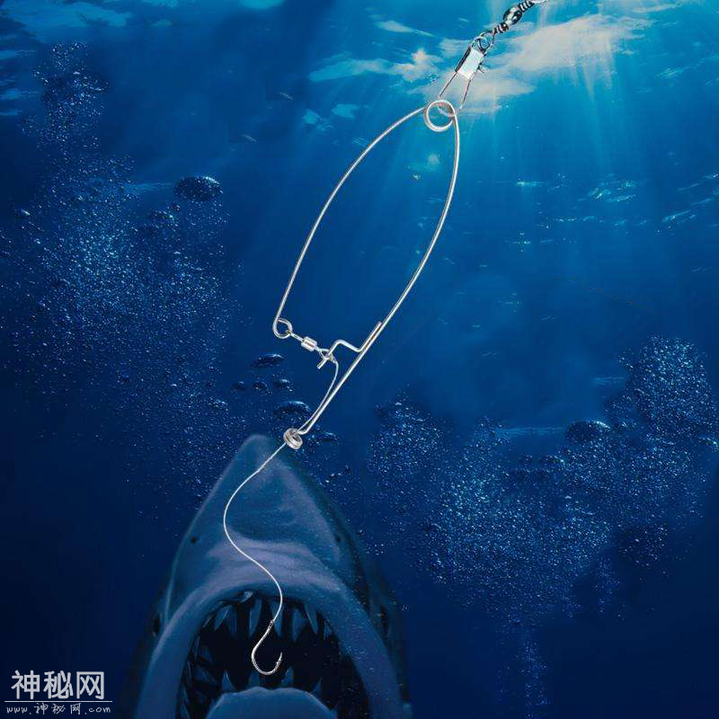 还傻傻在岸边等鱼？现流行的十款黑科技，让你横扫钓场，钓爆鱼护-2.png