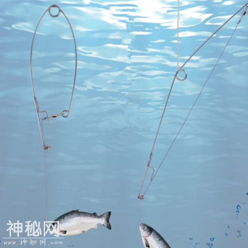 自从老公买了这些钓鱼黑科技后，家里的鱼总吃不完，天天满载而归-16.png