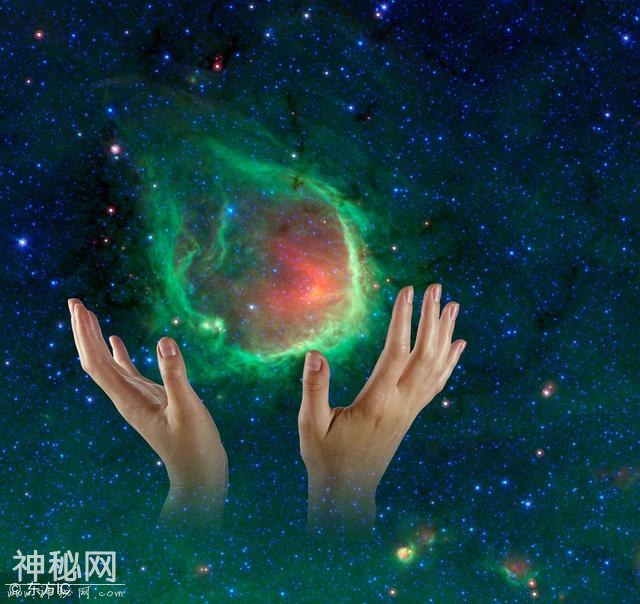 2018年宇宙大事记57 宇宙中最大的生物有多大-4.jpg