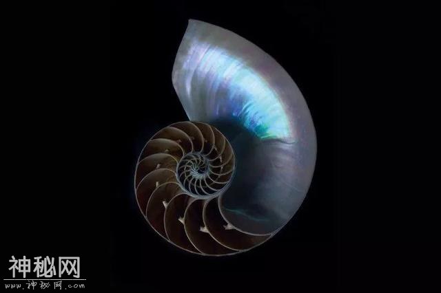宇宙远比想象更丑陋，所以物理学家迟迟找不出宇宙真相？-2.jpg