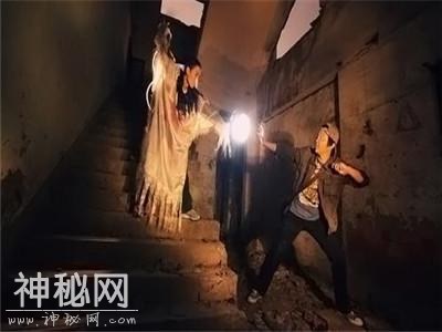盗墓如何处罚？-1.jpg