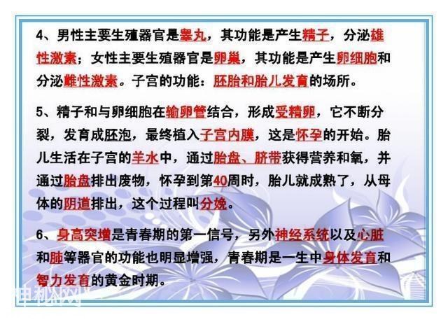 鬼才老师：把初中4册生物书浓缩成“一页纸”，背熟生物次次满分-11.jpg
