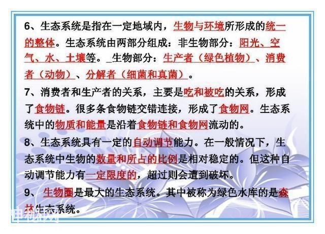 鬼才老师：把初中4册生物书浓缩成“一页纸”，背熟生物次次满分-4.jpg