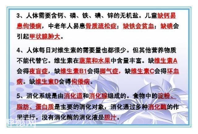 鬼才老师：把初中4册生物书浓缩成“一页纸”，背熟生物次次满分-14.jpg