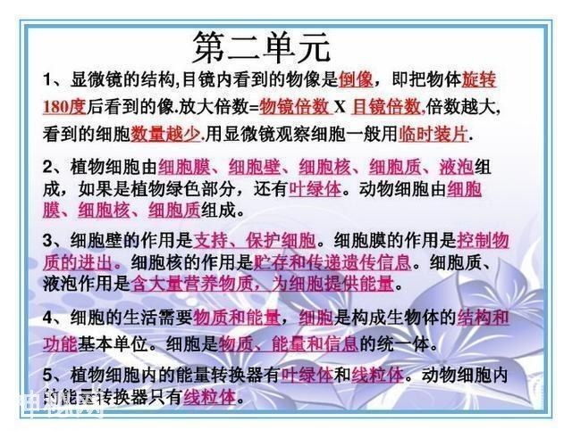 鬼才老师：把初中4册生物书浓缩成“一页纸”，背熟生物次次满分-5.jpg