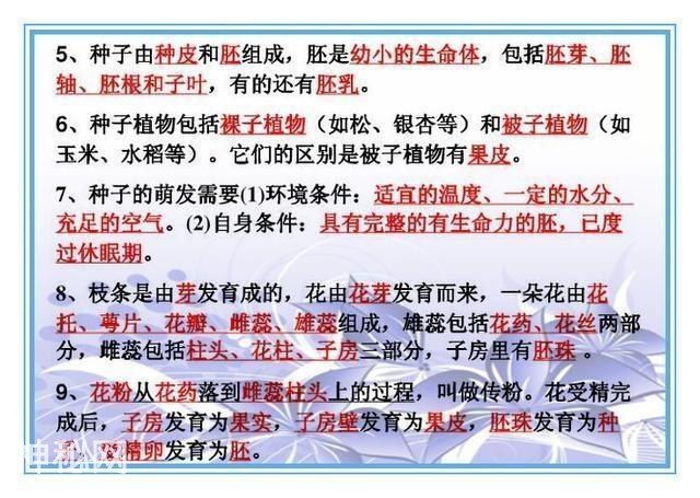 鬼才老师：把初中4册生物书浓缩成“一页纸”，背熟生物次次满分-9.jpg