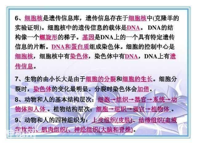 鬼才老师：把初中4册生物书浓缩成“一页纸”，背熟生物次次满分-6.jpg