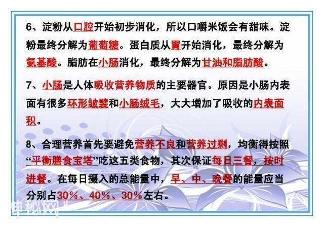 鬼才老师：把初中4册生物书浓缩成“一页纸”，背熟生物次次满分-15.jpg