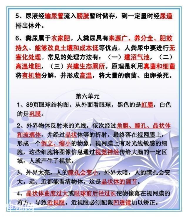 鬼才老师：把初中4册生物书浓缩成“一页纸”，背熟生物次次满分-22.jpg