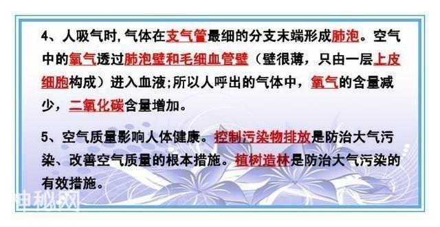 鬼才老师：把初中4册生物书浓缩成“一页纸”，背熟生物次次满分-17.jpg
