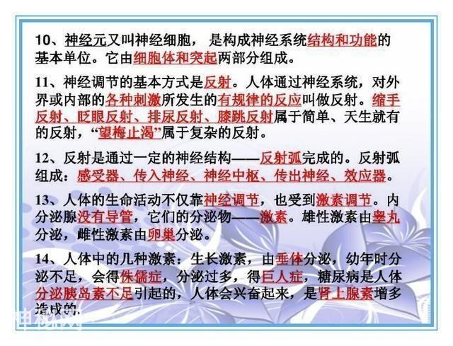 鬼才老师：把初中4册生物书浓缩成“一页纸”，背熟生物次次满分-24.jpg
