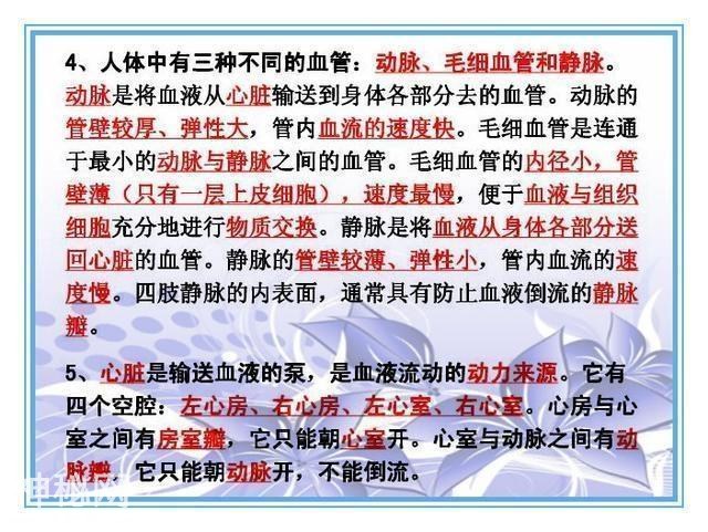 鬼才老师：把初中4册生物书浓缩成“一页纸”，背熟生物次次满分-19.jpg
