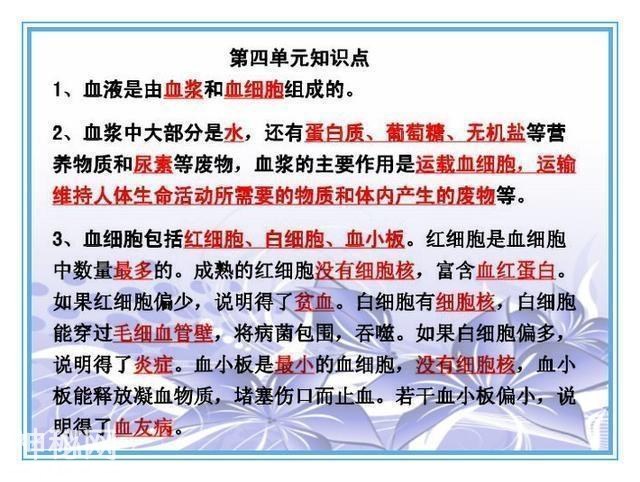 鬼才老师：把初中4册生物书浓缩成“一页纸”，背熟生物次次满分-18.jpg