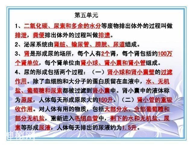 鬼才老师：把初中4册生物书浓缩成“一页纸”，背熟生物次次满分-21.jpg