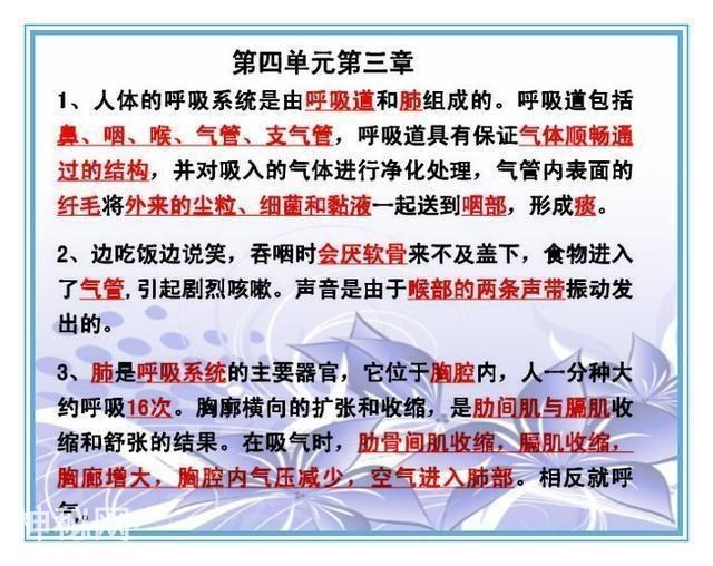 鬼才老师：把初中4册生物书浓缩成“一页纸”，背熟生物次次满分-16.jpg