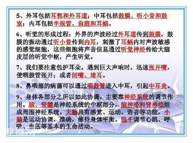 鬼才老师：把初中4册生物书浓缩成“一页纸”，背熟生物次次满分-23.jpg