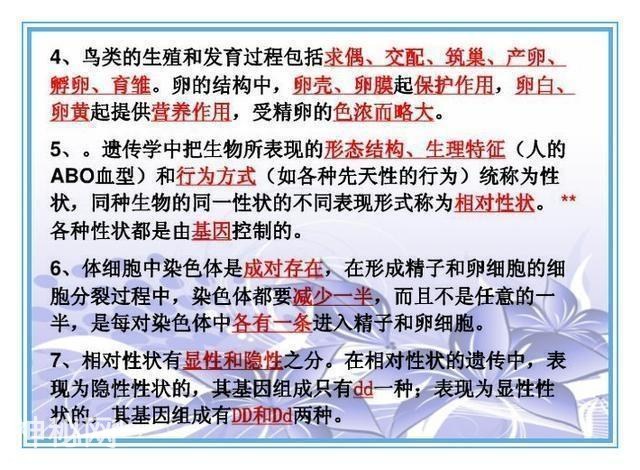 鬼才老师：把初中4册生物书浓缩成“一页纸”，背熟生物次次满分-30.jpg