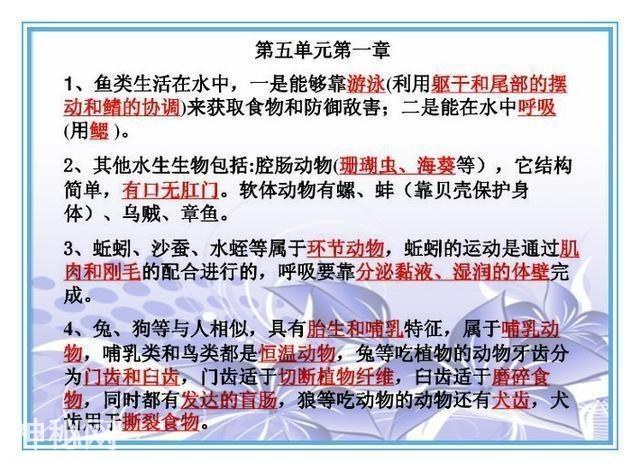 鬼才老师：把初中4册生物书浓缩成“一页纸”，背熟生物次次满分-25.jpg
