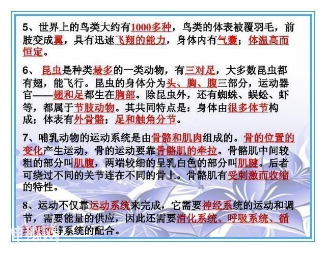 鬼才老师：把初中4册生物书浓缩成“一页纸”，背熟生物次次满分-26.jpg