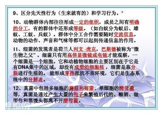 鬼才老师：把初中4册生物书浓缩成“一页纸”，背熟生物次次满分-27.jpg