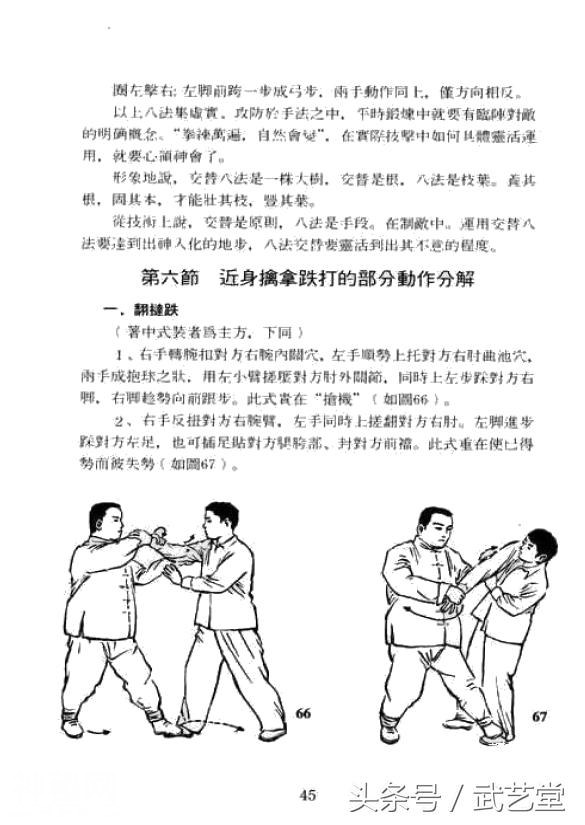 武当松溪派内家拳擒拿绝技图解-10.jpg
