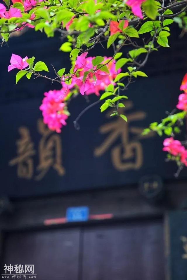 成都之美，不在于这里的春花灿烂，而在于丰富多彩的人文景观-39.jpg