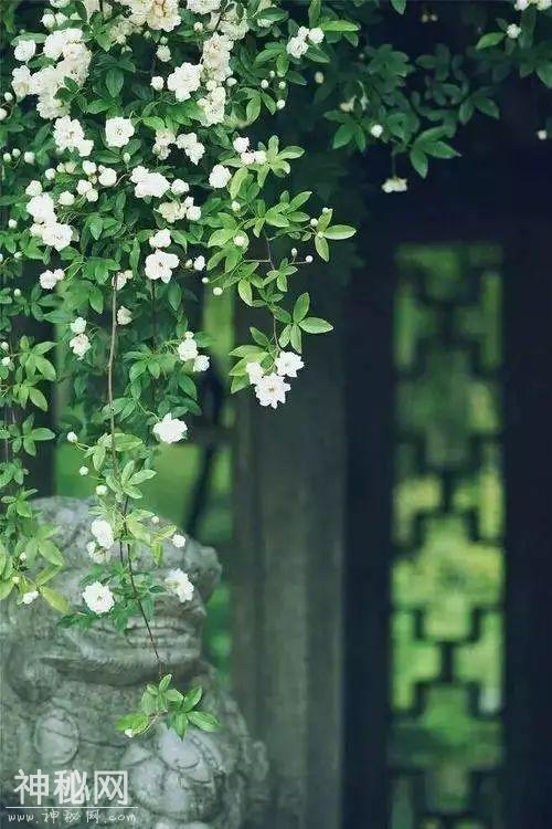 成都之美，不在于这里的春花灿烂，而在于丰富多彩的人文景观-38.jpg