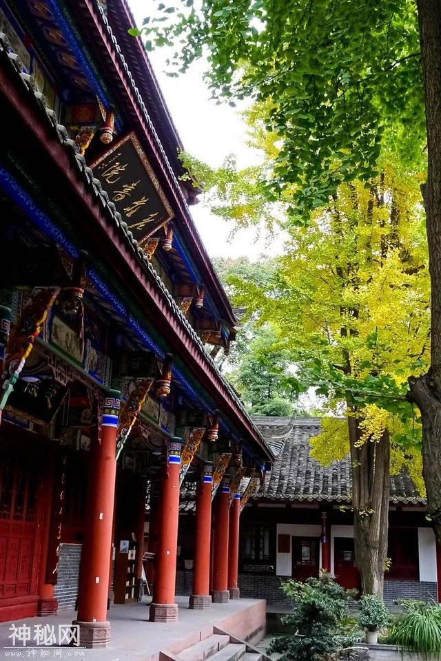 成都之美，不在于这里的春花灿烂，而在于丰富多彩的人文景观-50.jpg