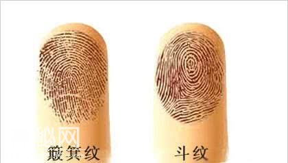 人手指头上的斗和簸箕代表什么？-2.jpg